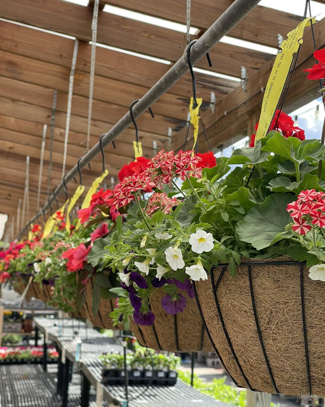We are weekend ready! 🪻🌸🌷🌿
.
Fresh loads of hanging baskets, bedding plants, herbs, veggies, quart perennials, flowering shrubs and more are in!
.
#springishere