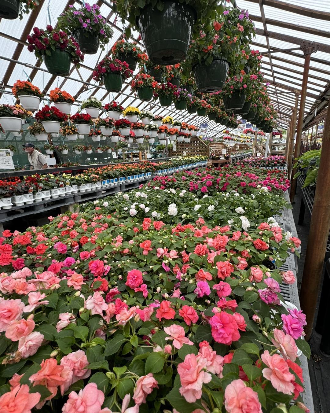 We have fresh loads of blooming baskets, patio pots, bedding plants, veggies and more!
.
Open 7 days a week, Come see us this weekend!