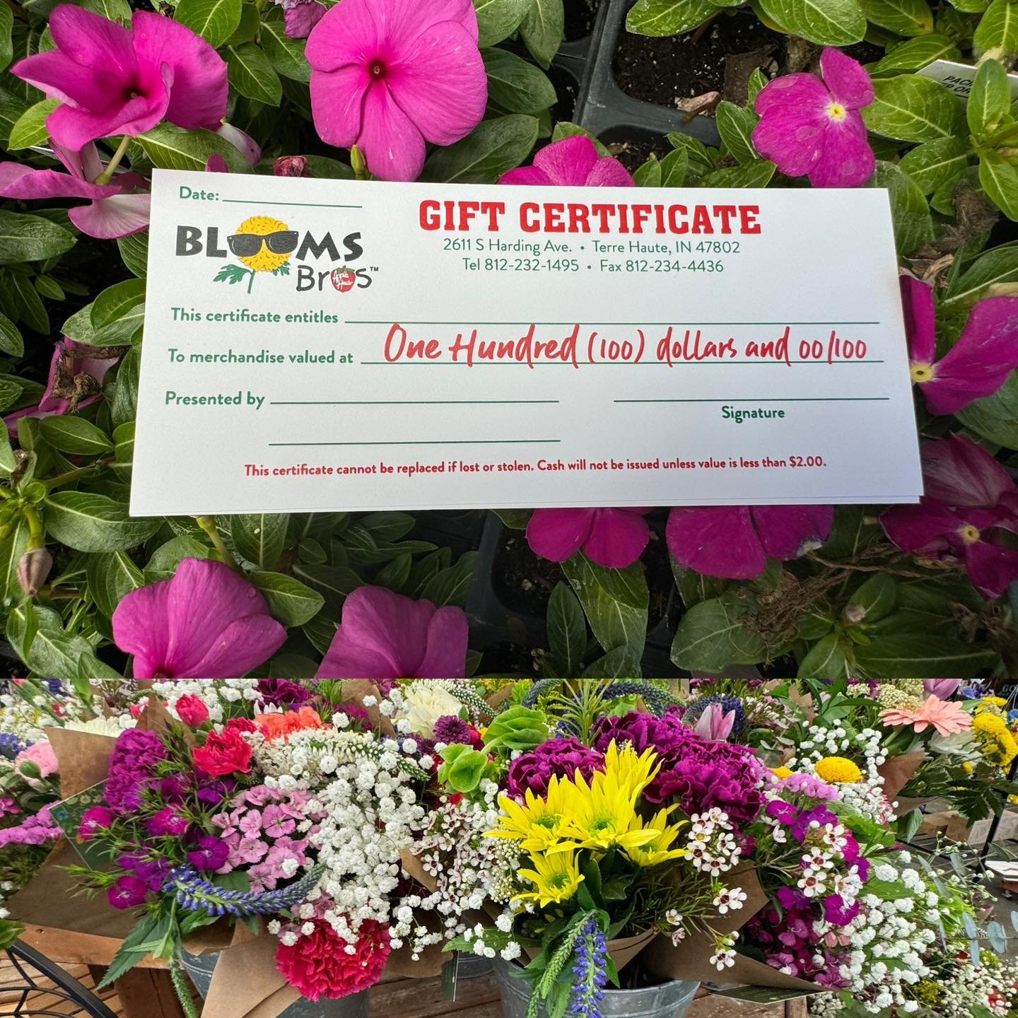 Not sure what to get mom? Grab a gift certificate and a bouquet of gorgeous cut flowers. 
Done and done! 
.
Open 9-6 today, 11-5 Sunday!