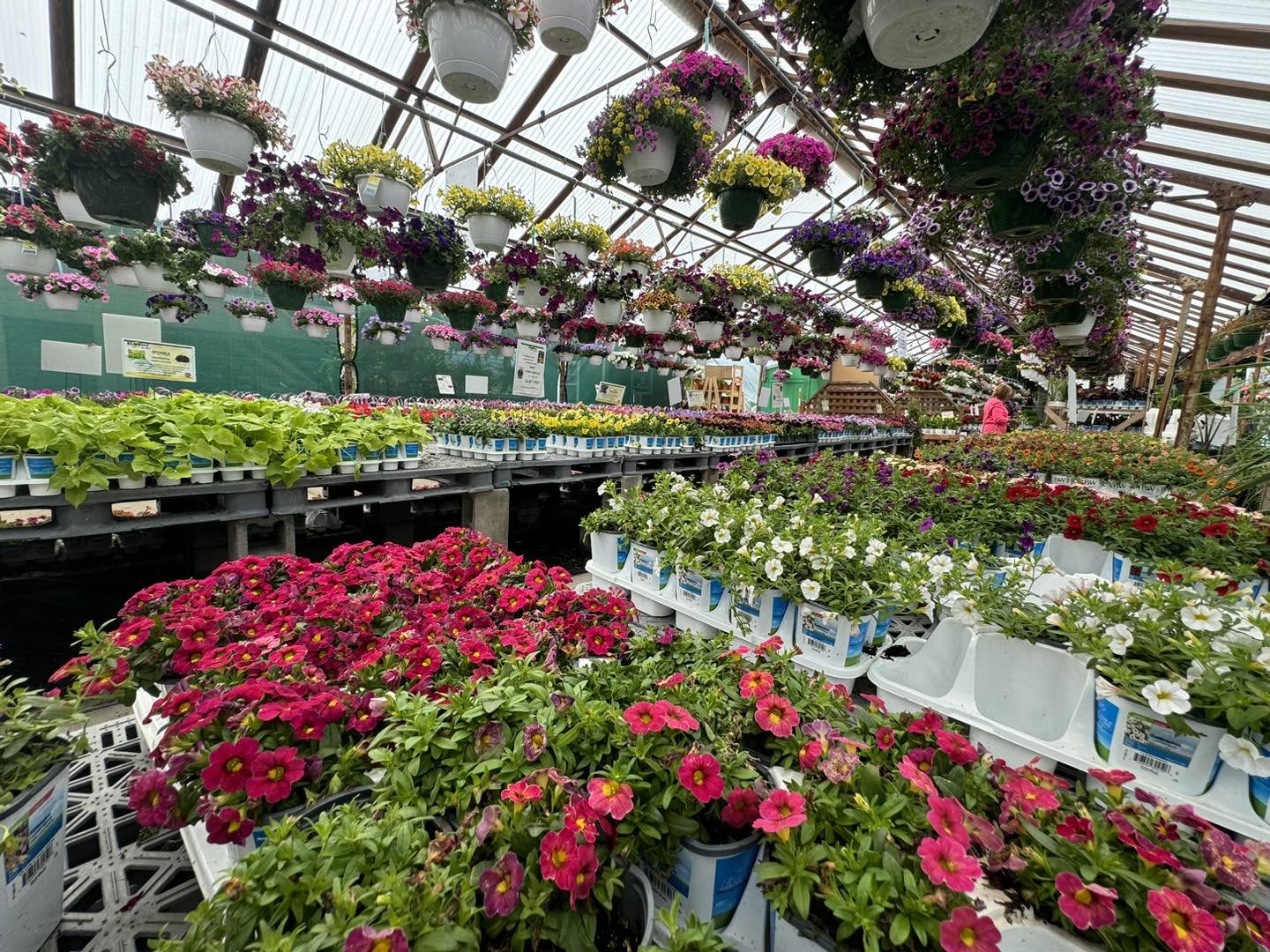 Restocked might be an&hellip;.understatement&hellip;. You name it we&rsquo;ve probably got it! 😍🌼🌿🌹🪻🌷
.
Fresh loads of hanging baskets, patio pots, bedding plants, veggies and more are in!
.
Whether you&rsquo;re just getting started or need to 