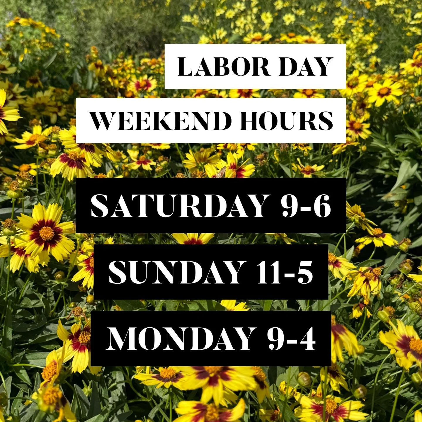 Fall is for planting and we are stocked and open this weekend!
.
Come see us to freshen up your pots and containers or add to your landscape.