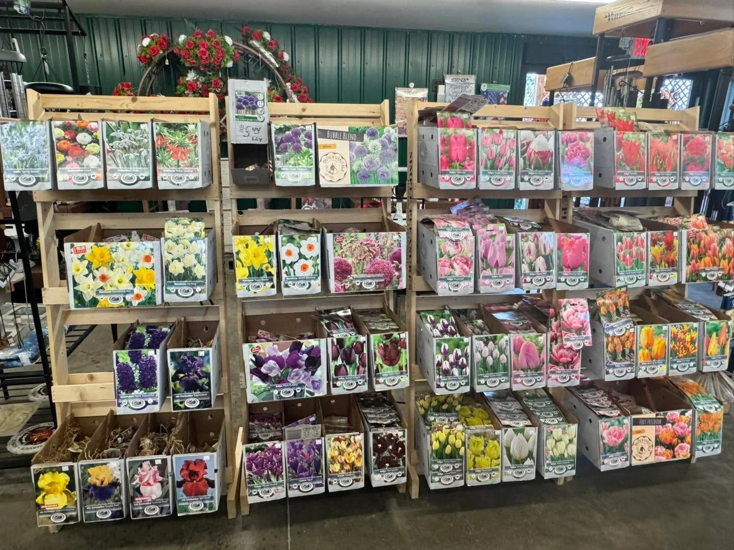 Great selection of spring flowering bulbs are in! Buy now plant when it gets a little cooler. 🌷🌷🌷