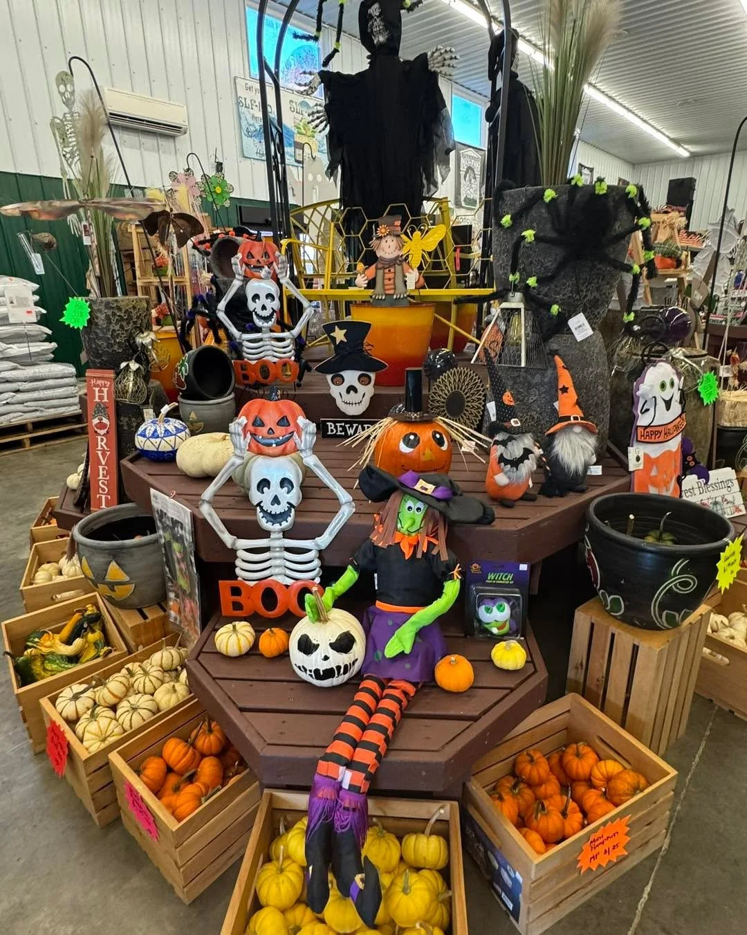 All remaining fall and Halloween decor is on sale!! Perfect time to stock up for next year. 
🎃🍂🎃