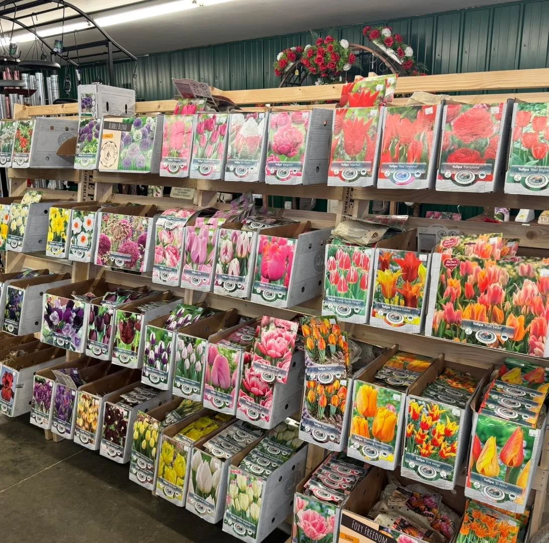 It&rsquo;s time to plant your spring flowering bulbs! Our remaining stock is on sale, 25% off! 🌷🌷