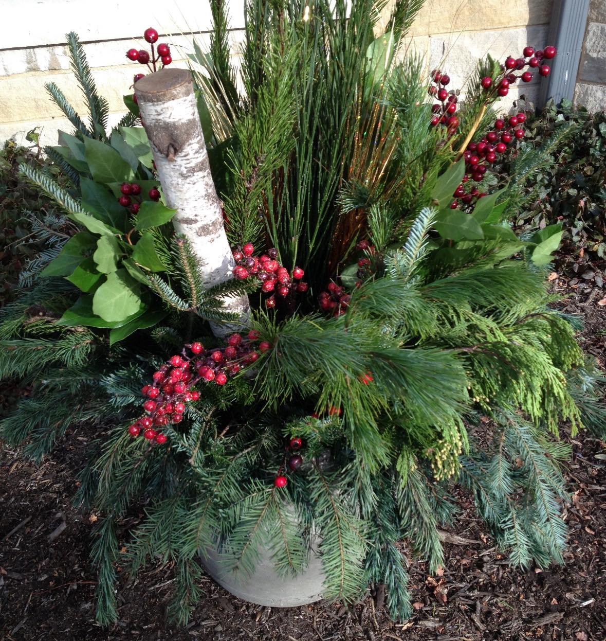 Fresh, real greenery and garland is the perfect way to dress up your pots, containers and outdoor spaces this holiday and all through winter! 🌲 ❄️ 💫 

We have 12 varieties of Fresh cut evergreen boughs arrange the boughs in your porch/patio pots, d