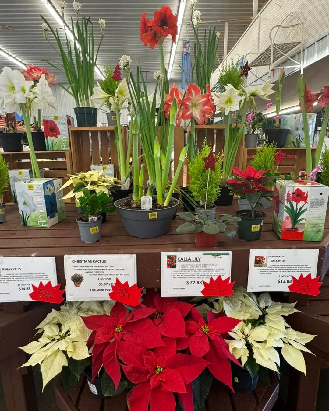 Holiday planters and poinsettias are the perfect thing for your table, kitchen counter or make a great 🎁!! 
All remaining are on sale