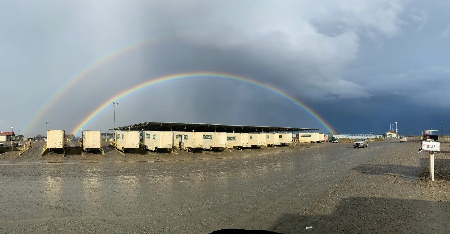 Looking for some treasure at the end of the rainbow this St. Patrick's Day? Looks like it might be @MonroviaPlants! Come in to Apple House Home &amp; Garden Center to see what their trucks have brought us.