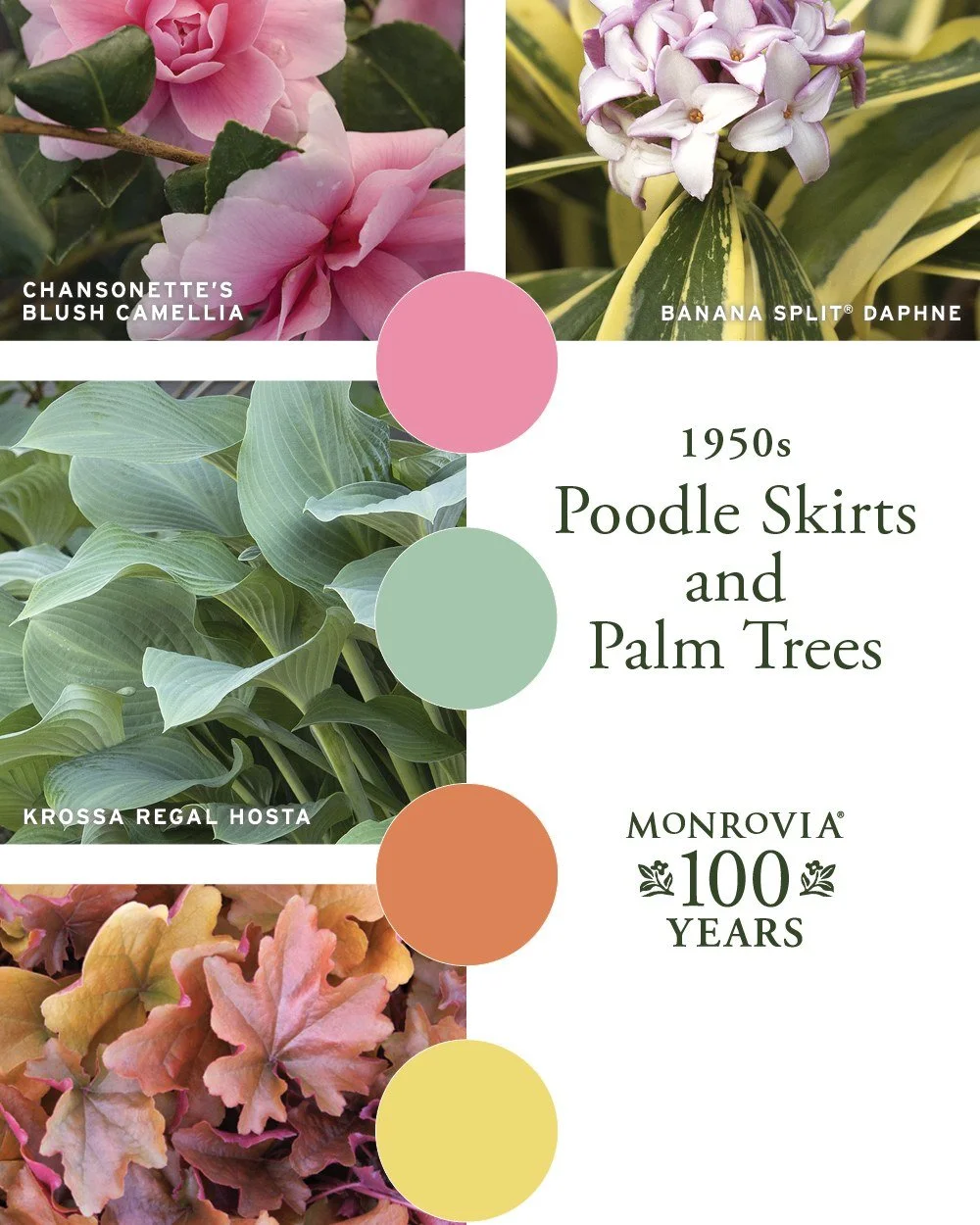 Love this retro palette @MonroviaPlants created to celebrate their 100th anniversary! Their 2026 Shades of Beautiful Guide has one inspired by each decade they've been growing beautifully - what do you think of this one for the 50s, with bubblegum pi