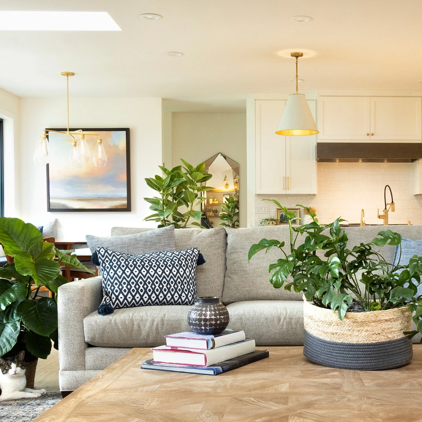 Tropical plants as indoor plants? Makes sense: they love the lower light that mimics the understory conditions they find in the wild, tend to thrive in containers, and are generally easy care. Come in to Apple House Home &amp; Garden Centerand ask us