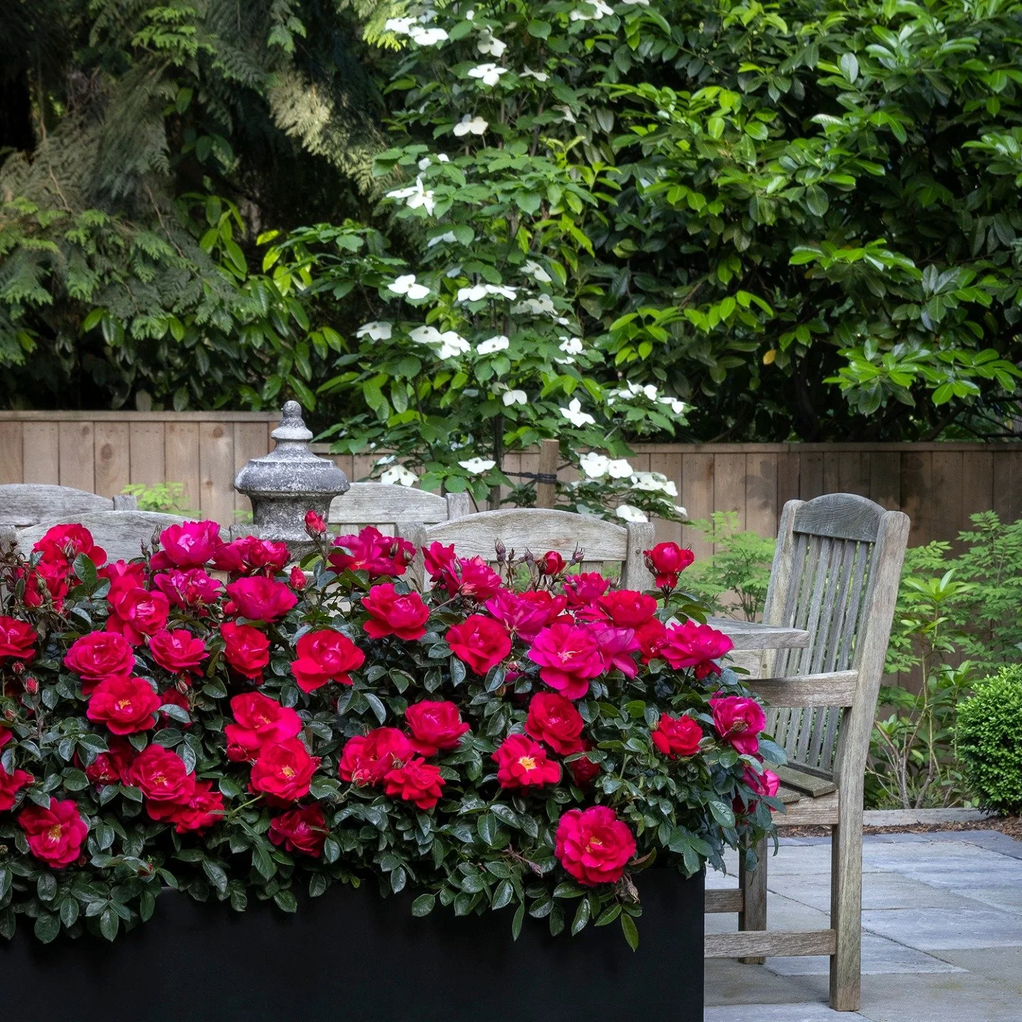 The Sunday Garden trend you've been hearing about is a mix between lazy Sunday and Sunday best - a gorgeous setting that's easier to get than you might think. Pair a big blooming shrub (this is Grace N' Grit&trade; Pink Shrub Rose to give you the ide
