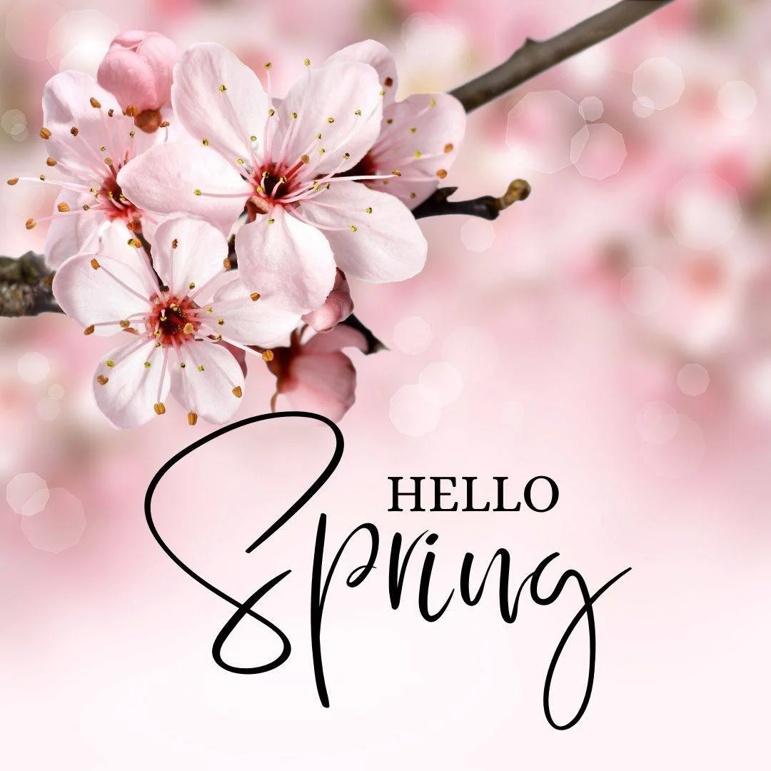 Hello, Spring! 🌷🌞 We are ready for you!

Time to refresh and prepare the new season. 

Come peruse our nursery bursting with spring buds and our greenhouses full of spring loving annuals. We are open 7 days a week!