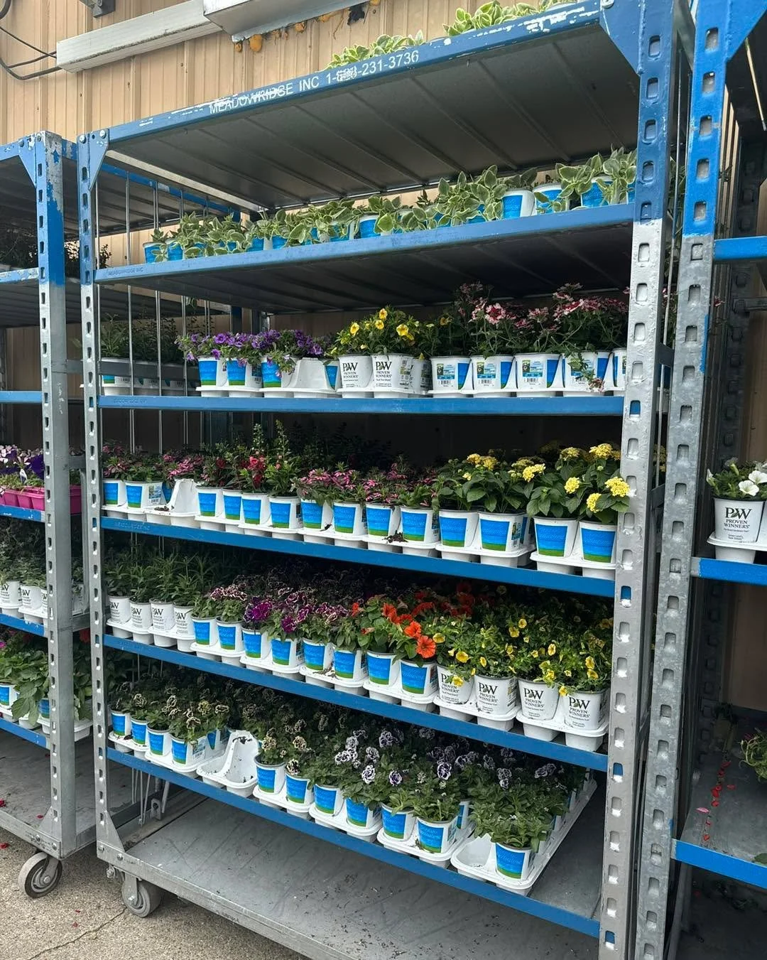 Still need to get your pots and containers planted? 🌼🌸🪴
Come see us!
After a super busy Mother&rsquo;s Day weekend we&rsquo;re restocking just about everything!
Fresh loads of patio pots, hanging baskets, bedding plants, Proven Winners annuals and