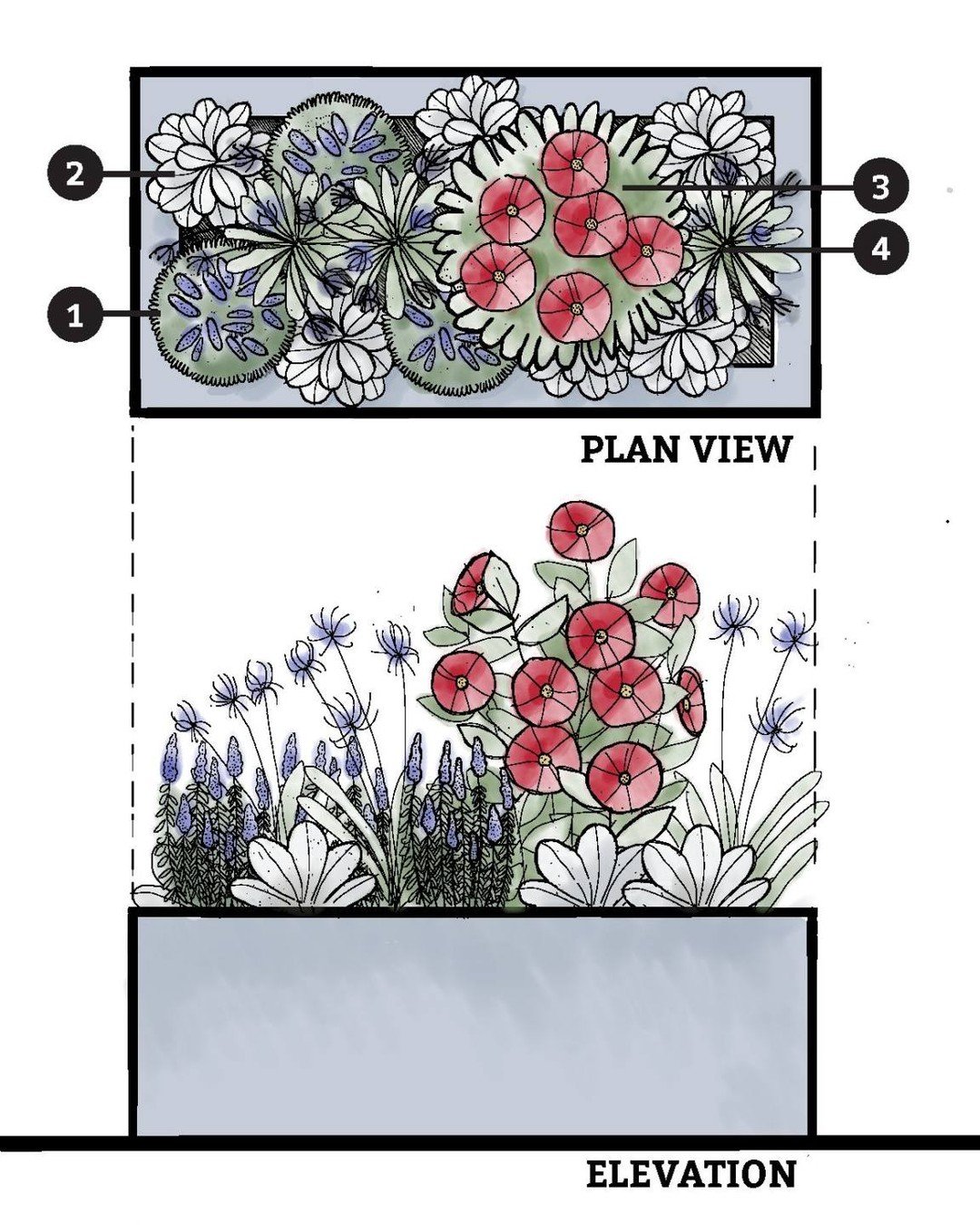 Yep, it's time to think about updating your spring containers for your summer celebrations! This adaptable planting plan can be used to feature plants right for our region&mdash;just look for flower shapes, colors, and forms that follow this formula.