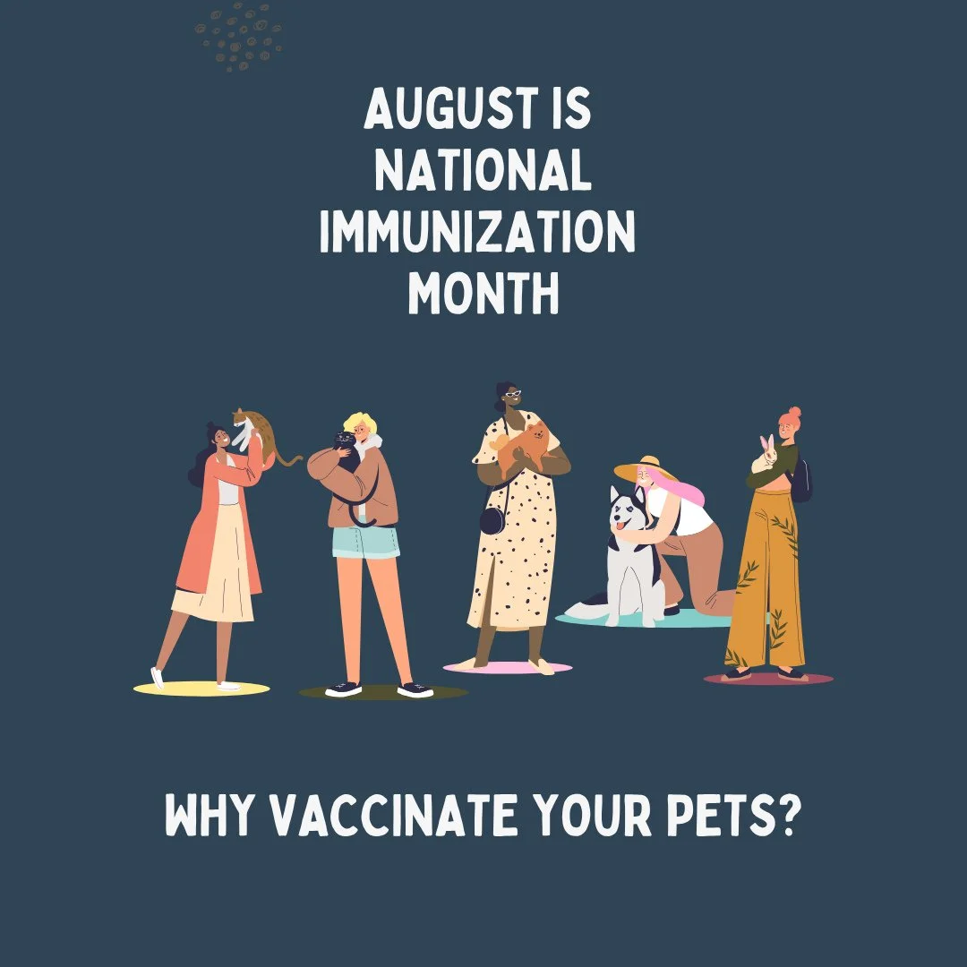 August in National Immunization Month 💉🐱🐶⁠
⁠
Why vaccinate your pets?⁠
⁠
🦠 Preventing disease such as rabies, distemper and parvovirus⁠
💰️ Cost effectiveness by reducing risk of costly medical ⁠
 treatments/hospitalizations⁠
🧘 Peace of mind goi