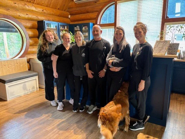 HAPPY BIRTHDAY, DR. HESS! 🥳⁠
⁠
⁠
⁠
Thank you to @cuppiecakedesserts for the yummy treats 🍪😋⁠
⁠
#docsbirthday #narrowsburgvet #cuppiecakedesserts #narrowsburg #narrowsburgny #barryville #barryvilleny #bethelny #callicoon #callicoonny #callicooncent