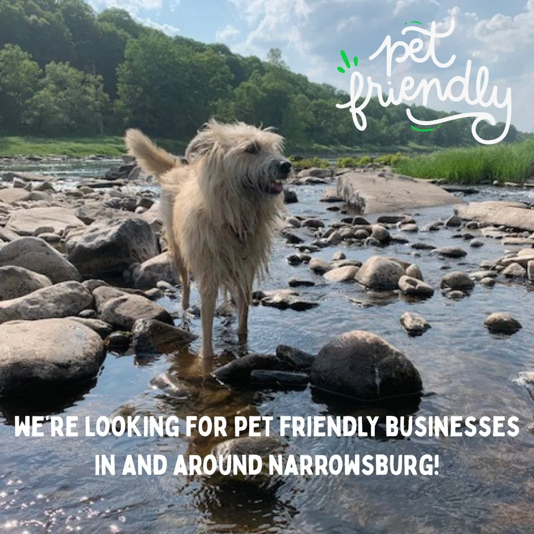 📣 🐾 Calling ALL local business owners in and around Narrowsburg, NY!⁠
⁠
We're looking to feature pet friendly stores, cafes, restaurants, farmers' markets, etc. to let visitors (and locals) know where they can shop, eat and stay when they are out a
