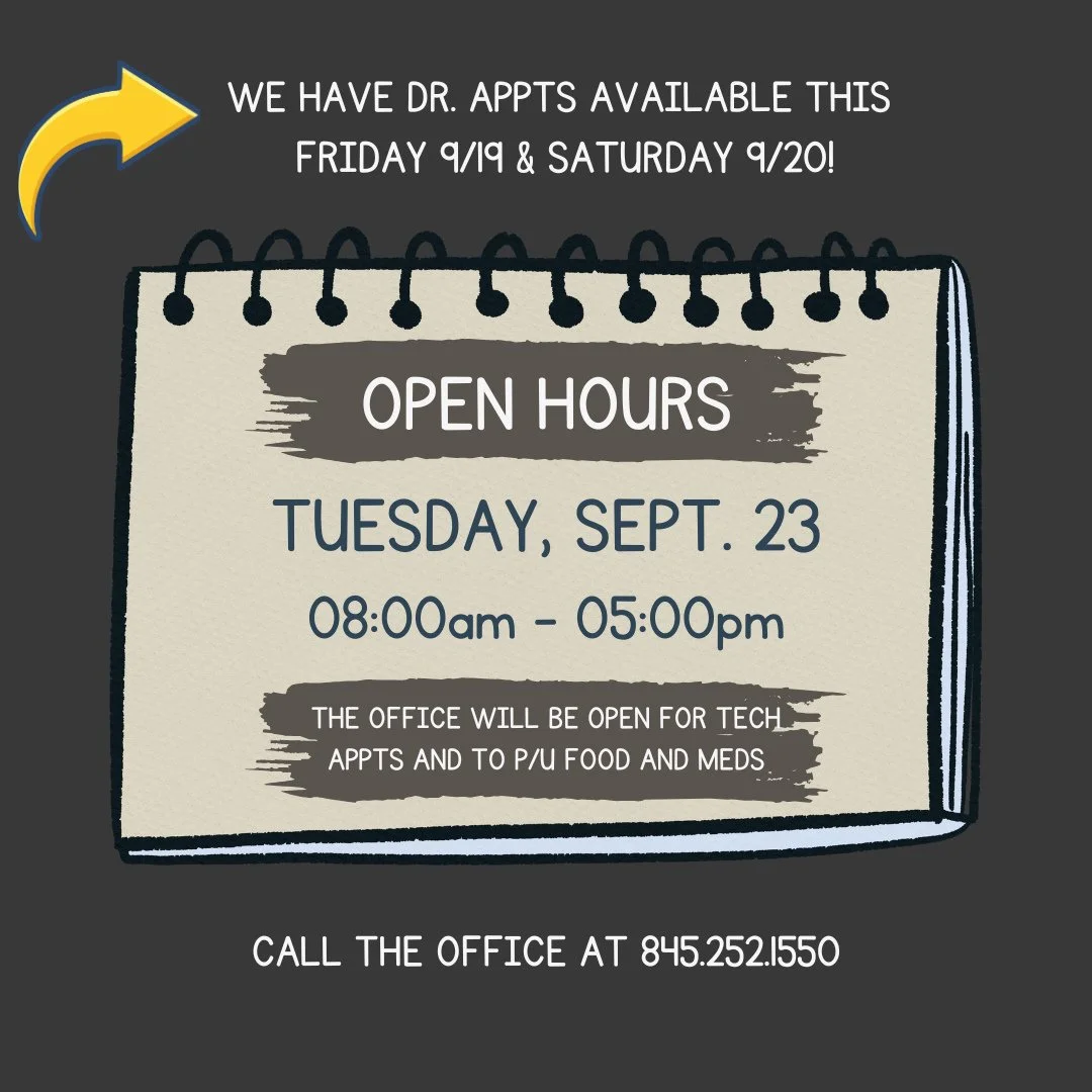 📅 Next Tuesday, Sept. 23rd there will be a change to the office hours and tech appts only, no Dr. appts that day.⁠
⁠
➡️ If you need a Dr. appt before then, we have openings this Friday 9/19 and Saturday 9/20 (as of the timing of this post!)⁠
⁠
⏰️ 9/