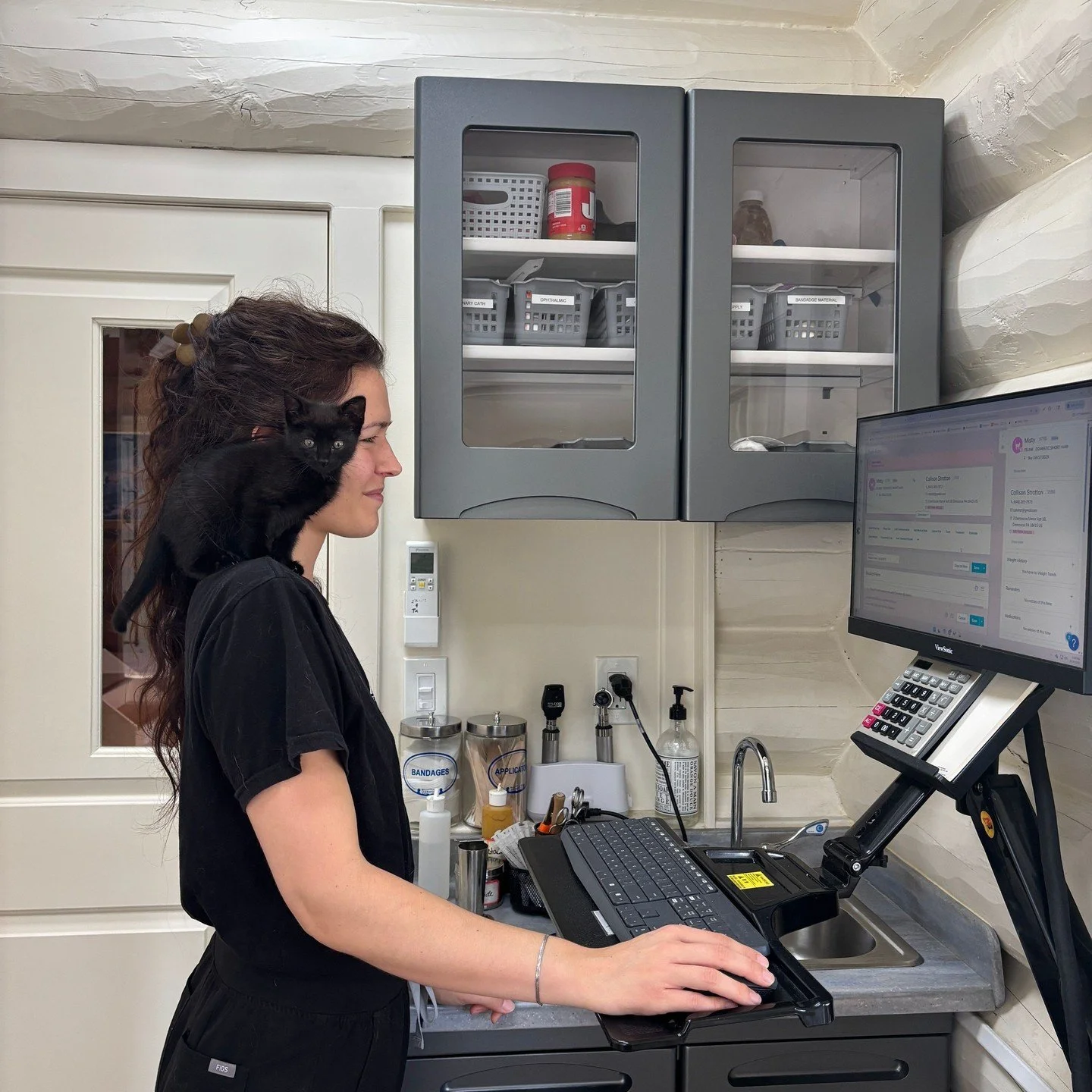 🐈&zwj;⬛ On the eve of Halloween, we wanted to celebrate and bring awareness to black cats. ⁠
⁠
📅 October is National Black Cat Awareness Month and we want to challenge superstitions around black cats or that they bring bad luck 😔 (in many cultures