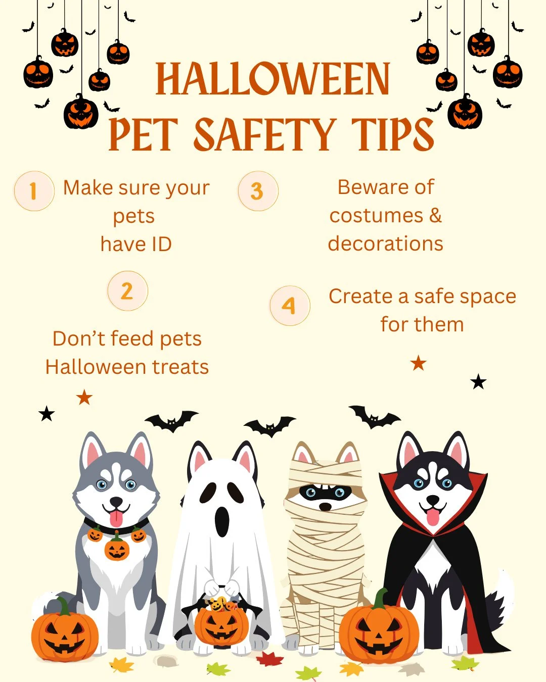 🎃🐈️🐕️ HALLOWEEN PET SAFETY TIPS⁠
⁠
🆔 Make sure your pets have proper ID (microchip or tags) because with the door constantly opening, there is a chance they run out and escape. It is the second most popular holiday for runaway pets (4th of July i
