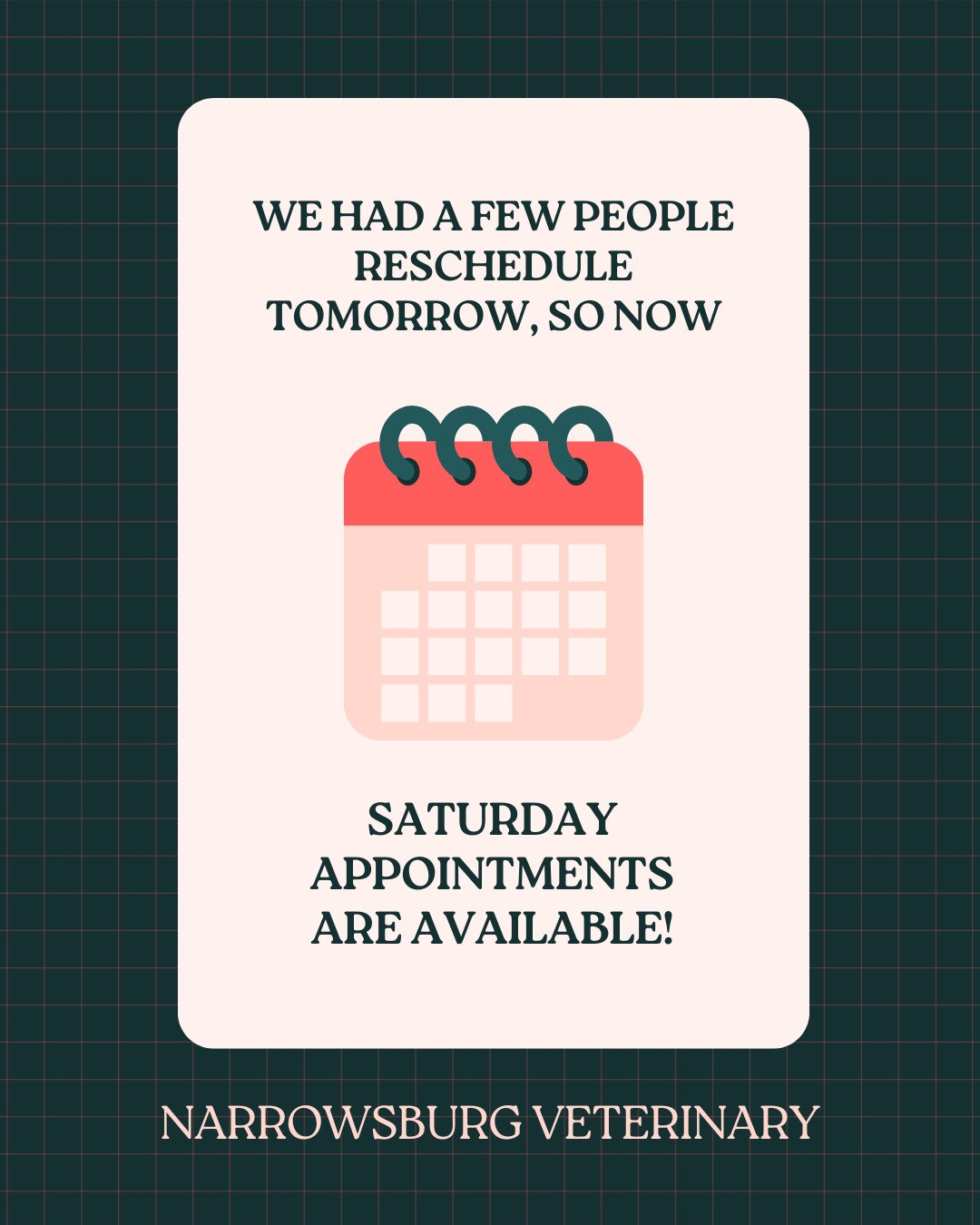 📣 We have appointments available tomorrow, Saturday, November 8th!⁠
⁠
☎️ You can call us at 845.252.1550 if you need to schedule an appt.⁠
⁠
🏥 We are are open 8am til 2pm.⁠
⁠
⁠
#weekendhours #narrowsburgvet
