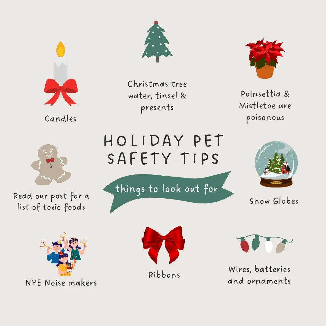 ❤️&zwj;🩹🚨 Holiday Pet Safety Tips! NBV wants to share a few ways to keep 🐱🐶 safe during the holidays...⁠
⁠
🚫 Foods to AVOID:⁠
⁠Turkey skin &amp; bone⁠
Ham⁠
Sage and nutmeg⁠
Yeast Dough⁠
Nuts⁠
Casseroles⁠
Stuffing⁠
Garlic⁠
Leeks⁠
Onion⁠
Grapes⁠
R