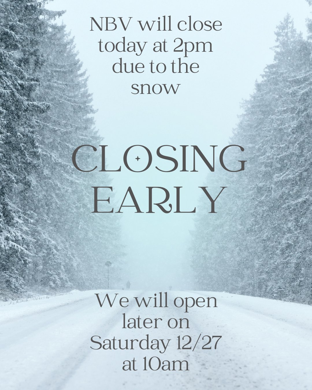 NBV is closing early today at 2pm due to the snow. ❄️⁠
⁠
💻️⁠ While we are out of the office, remember to check our website at www.narrowsburgvet.com (under services) for a list of emergency hospitals or you can call the office and leave us a message