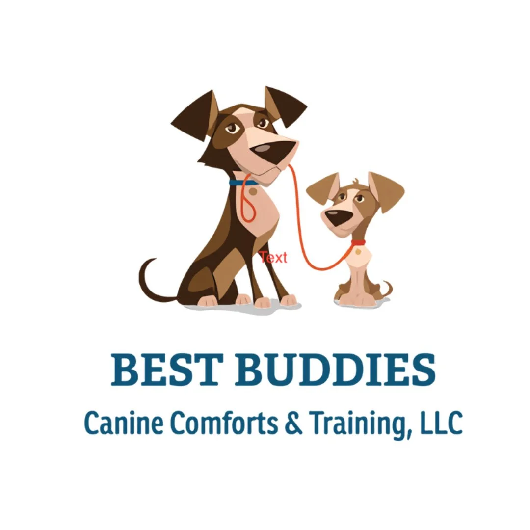 📣 We're still celebrating NATIONAL TRAIN YOUR DOG MONTH here at NBV! 🐕️⁠
⁠
Our next local feature is BEST BUDDIES Canine Comforts &amp; Training, LLC with local Lori Falk. She is passionate about positive reinforcement training and is committed to 