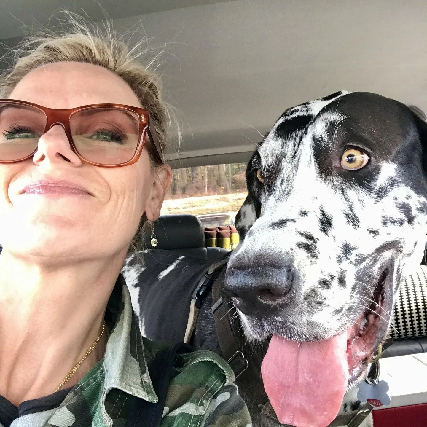 🦮 We're continuing our celebration of NATIONAL TRAIN YOUR DOG MONTH! 🦴⁠
⁠
Our next feature is RikkeBDog.⁠
⁠
Rikke&rsquo;s approach to dog training is based on communication, collaboration &amp; trust. She meets every dog and guardian where they are