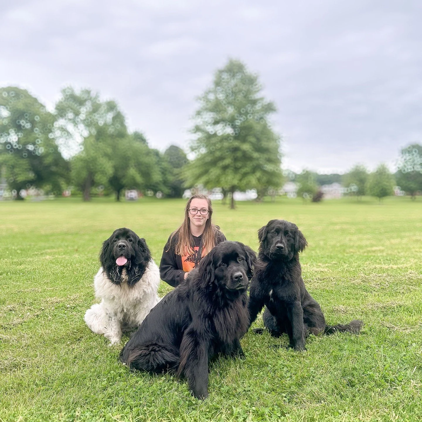 🦮 We're continuing our celebration of NATIONAL TRAIN YOUR DOG MONTH! 🦴⁠
⁠
Our next feature is...Little Bears Canine Dog Training in Hawley, PA!⁠
⁠
Here&rsquo;s a bit of what they offer:⁠
⁠
🏡 In home training &amp; board and training for puppies an