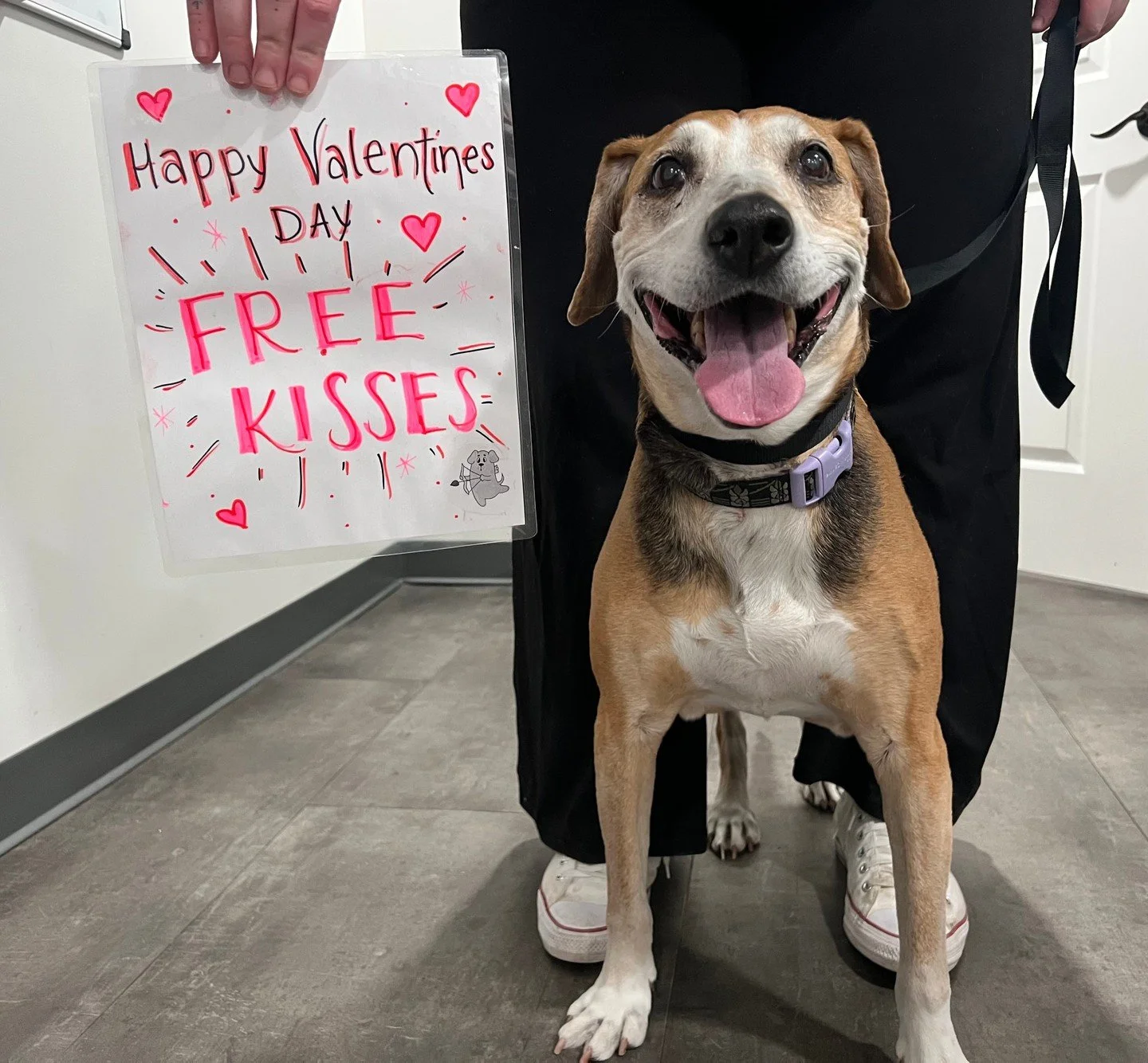 One more love bug 🐶💌