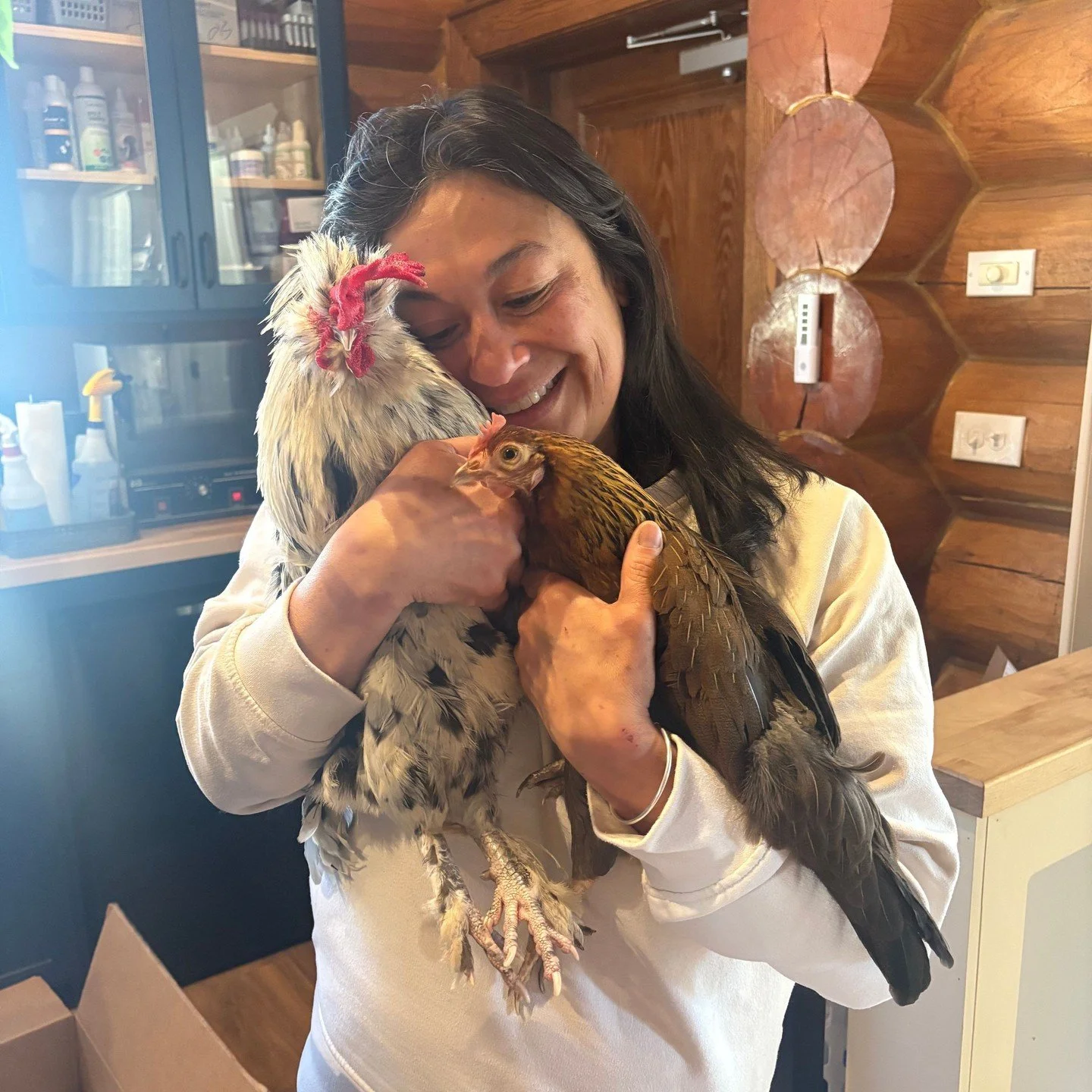 Look who stopped by today. 🐔🐓⁠
⁠
Leslie Abad brought Brownie &amp; B B Beep in today to see Dr. Kula, our new associate who sees exotics and pocket pets. 🦎🐰🦜🦆⁠
⁠
It was pure joy having them visit the office today. ❤️⁠
⁠
⁠
#chickensandroosters #