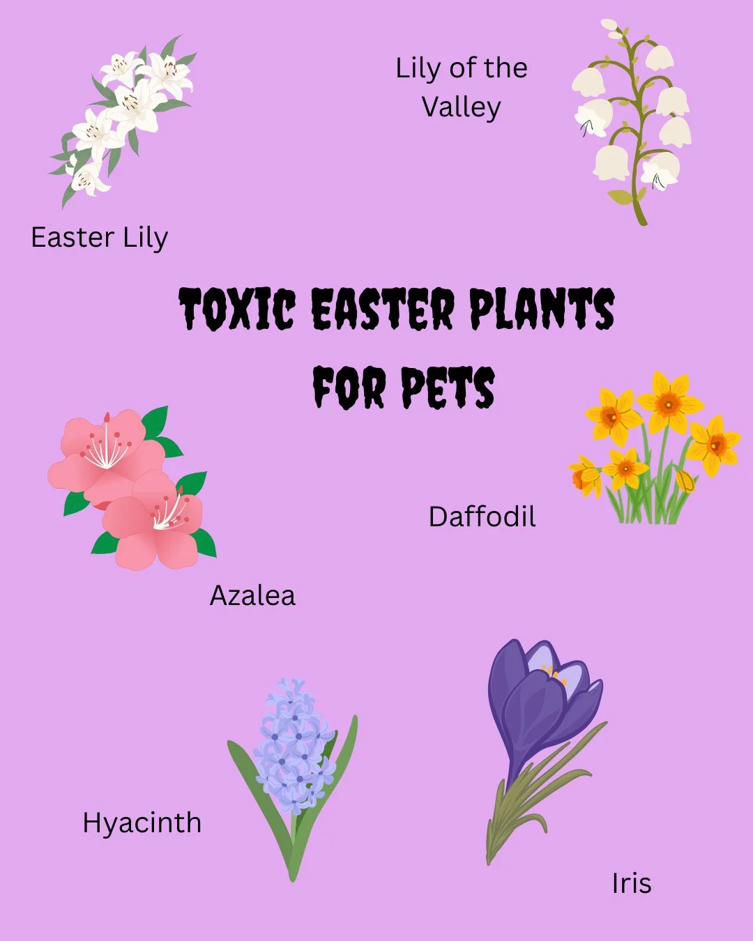 🐣 Easter Reminder - Toxic Flowers and Plants for Pets! ⚠️⁠
⁠
💐 With Easter coming up, there are beautiful flowers and plants everywhere, but we need to be mindful of our furry friends during this holiday time. It only takes a minute for them to nib