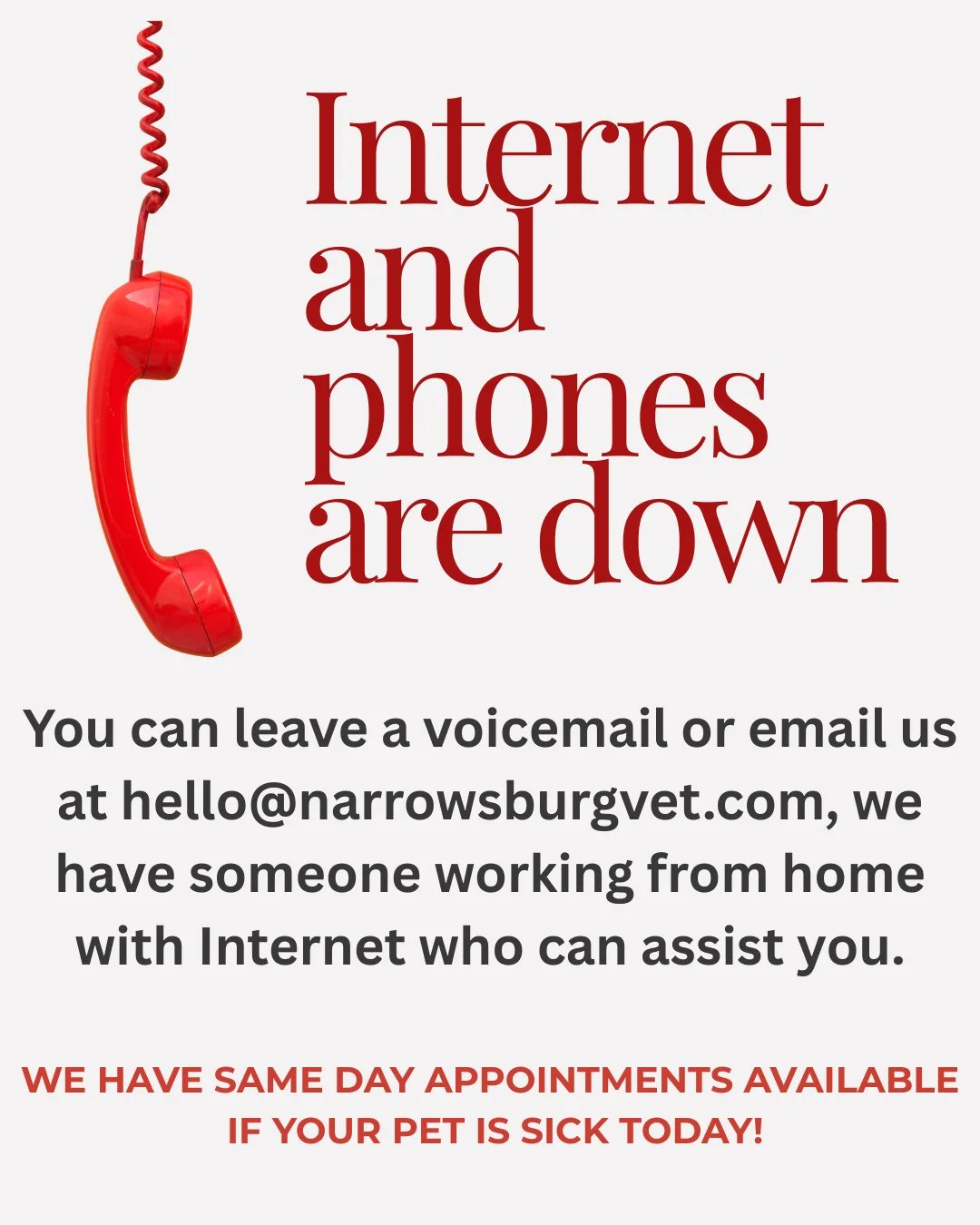 📣 STILL DOWN!⁠
⁠
☎️ 💻️ Leave us a VM at 845.252.1550 or email us at hello@narrowsburgvet.com. Someone will be receiving messages and we will get back to you as soon as possible.⁠
⁠
Thank you for your patience.