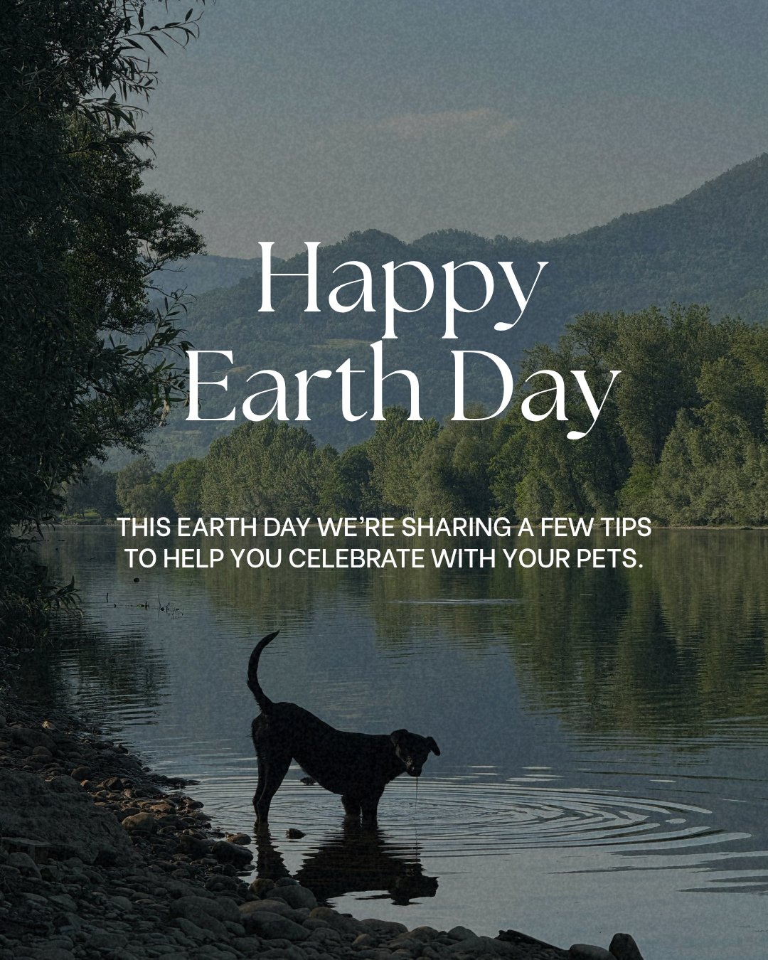 Earth Day with your pets 🌎️🐶🐱⁠
⁠
⁠
💡 Here are a few ideas on how to celebrate Earth Day EVERY day:⁠
⁠
♻️ Eco-friendly pet care: biodegradable bags⁠
⁠
📸 Take nature photos with your pet and highlight the scenery ⛰️🌊🌲⁠
⁠
🥾🦮Take a hike with you