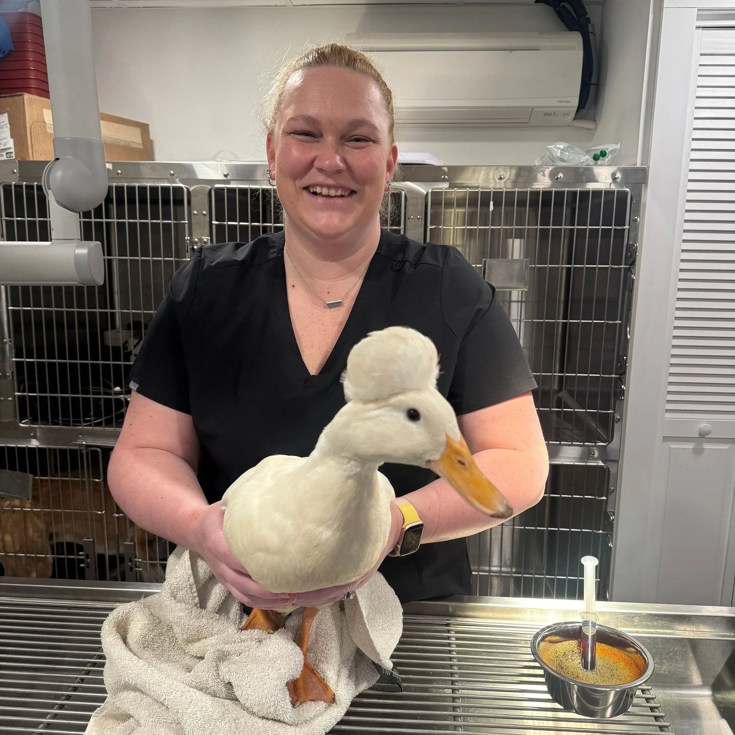 🦎🐹 EXOTICS, POCKET PETS &amp; AVIAN! 🦜🐇⁠
⁠
🪿🐿️ From feathers to scales and everything in between - Narrowsburg Veterinary has got you covered! 🐓🐸⁠
⁠
🩺 Finding a vet for your "unconventional" family member shouldn't be a challenge. 