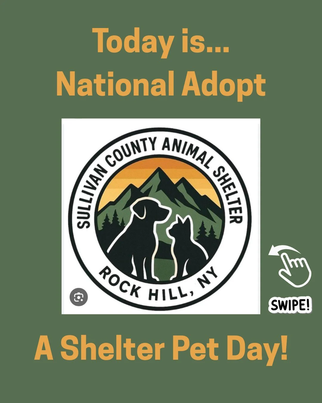 📣 IT'S NATIONAL ADOPT A SHELTER PET DAY! 🐶🐱⁠
⁠
Here are a few local shelters that have plenty of animals who are waiting for their fur-ever homes 🏡 ...⁠
⁠
@scspca⁠
@dessinanimalshelter ⁠
@griffin_pond_animal_shelter ⁠
@catskillanimalrescue⁠
⁠
Whe