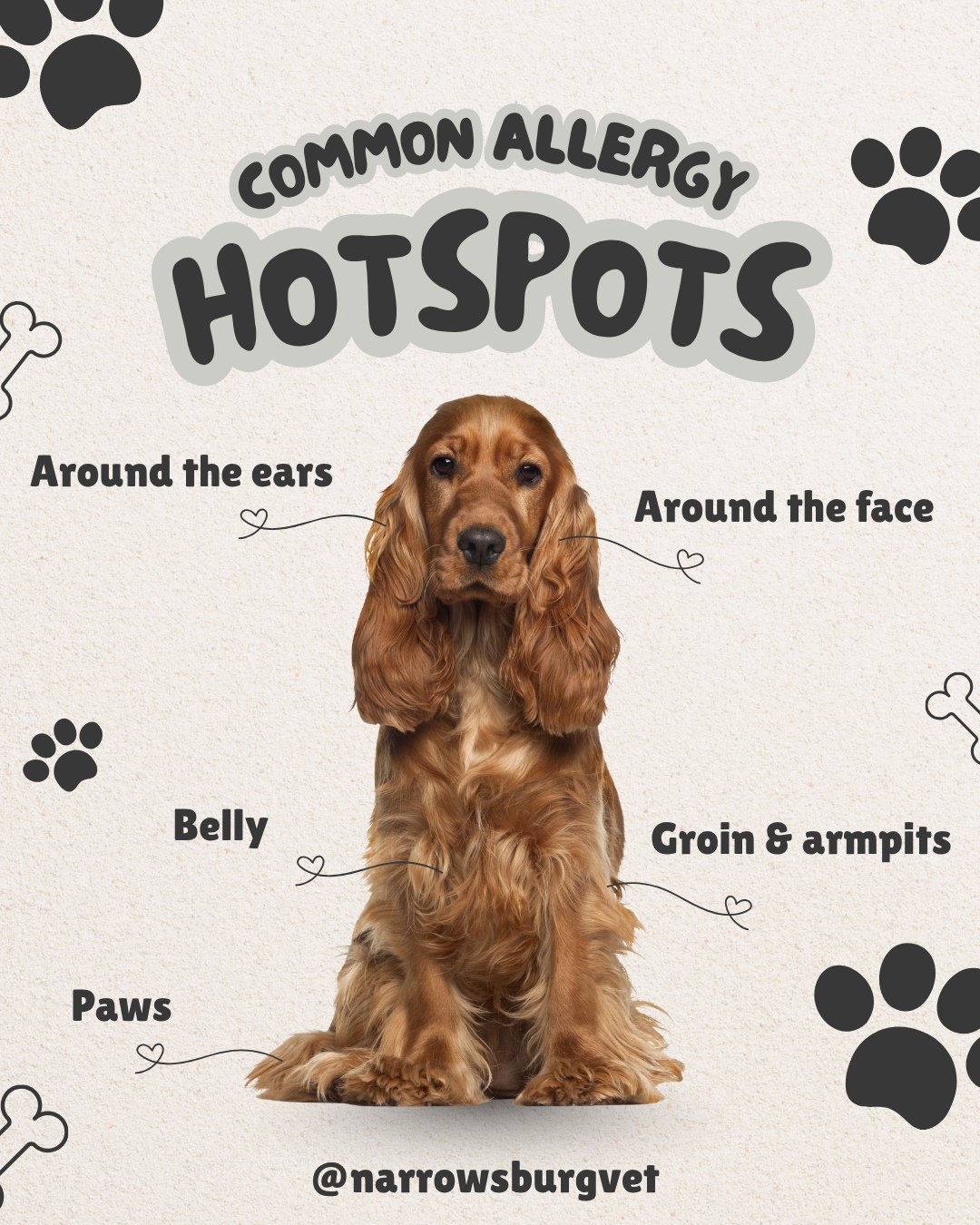 May is Pet Allergy Awareness Month! 🤧🦠🌻⁠
⁠
Just like us, your pets could suffer from seasonal allergies. 🐕️🐈&zwj;⬛⁠
⁠
Here are a few culprits:⁠
⁠
🧹 Dust Mites⁠
🌳 Pollen, grasses and trees⁠
🦠 Mold⁠
🍗 Certain Foods and Food Sensitivities⁠
🦟 I