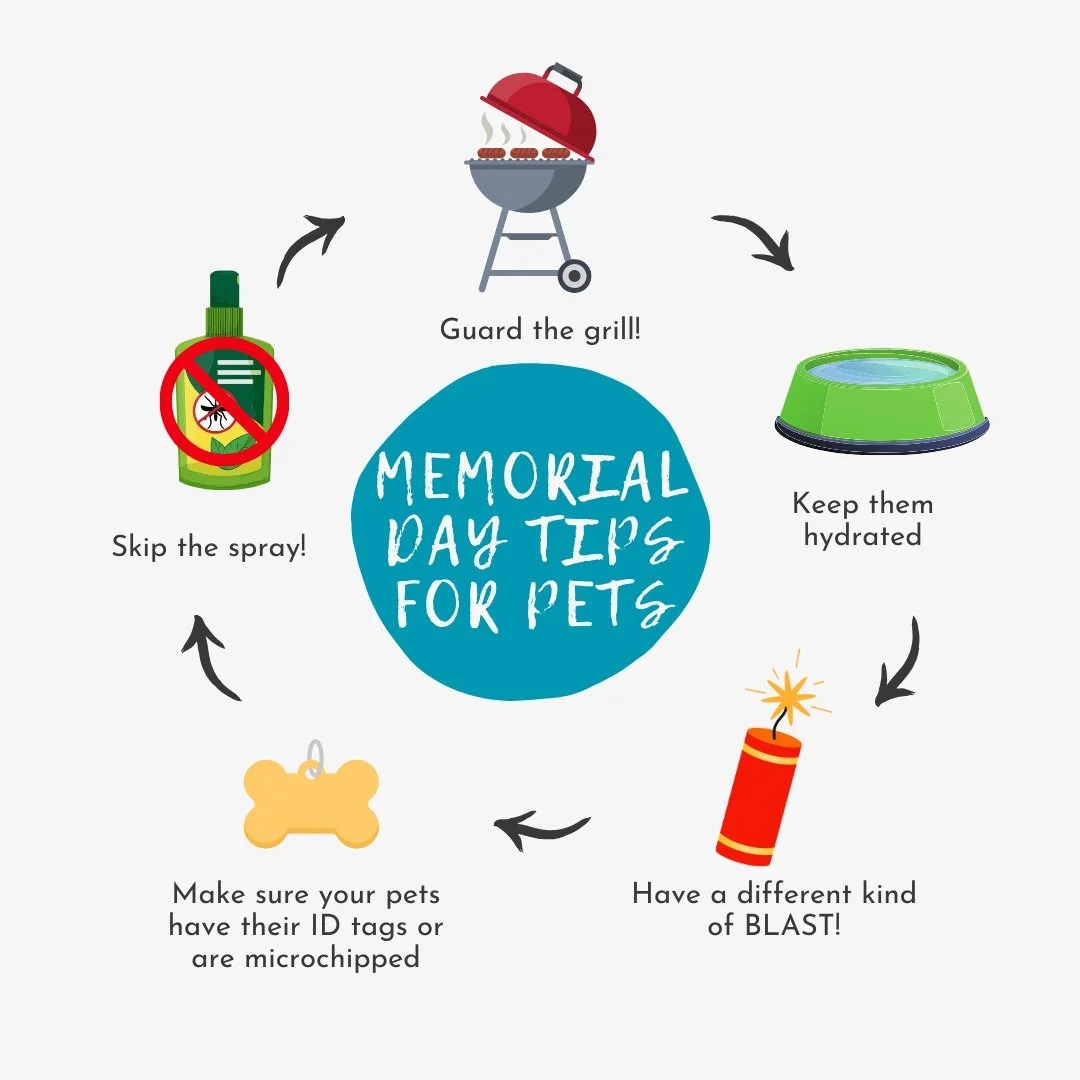 📣 Keep pets safe this Memorial Day weekend 🐶🐱...⁠
⁠
🚫🔥🍔 Charcoal briquettes, lighter fluid, grill cleaners and citronella torches are all hazardous to pets.⁠
⁠
💦 Keep pets hydrated on long walks, hikes or even hanging at an outdoor event. Brin
