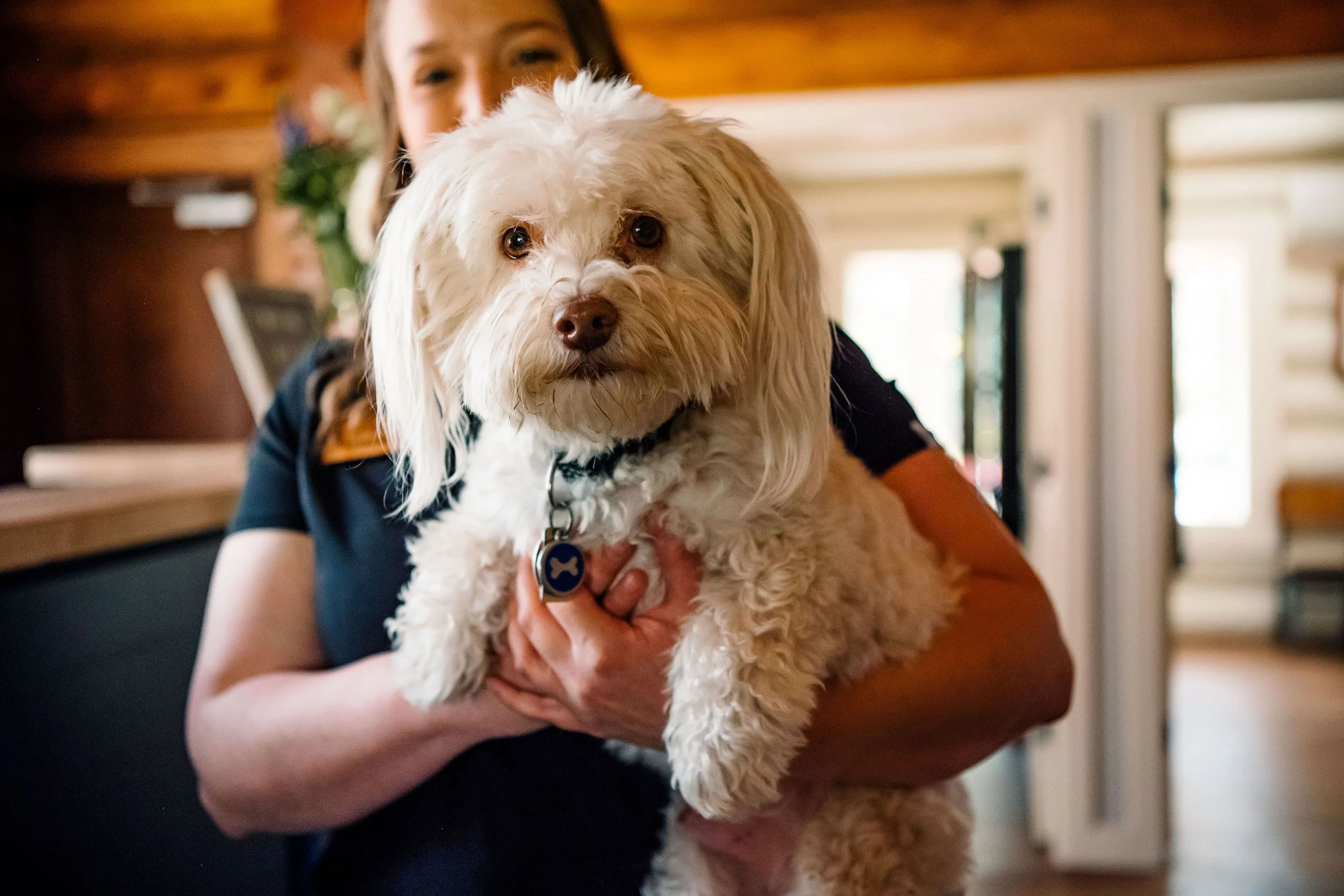 Narrowsburg vet staff holding small white dog.