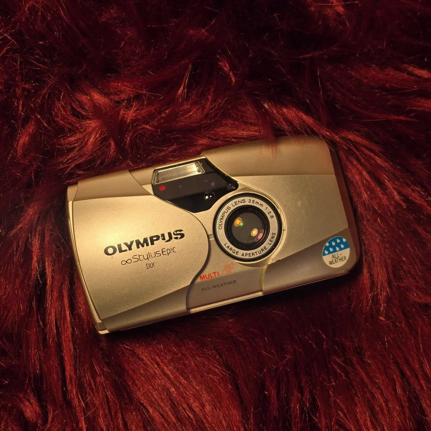 We finally have in an Olympus Stylus Epic!! These things are getting harder and harder to find as time goes on. They are incredibly small, sharp, fast to use, and tough! If you've ever wanted one definitely let us know!
.
.
.
Sample photos by @durkee