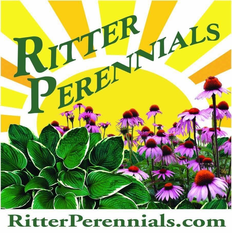 7th Annual Ritter Perennials New Plant Presentation