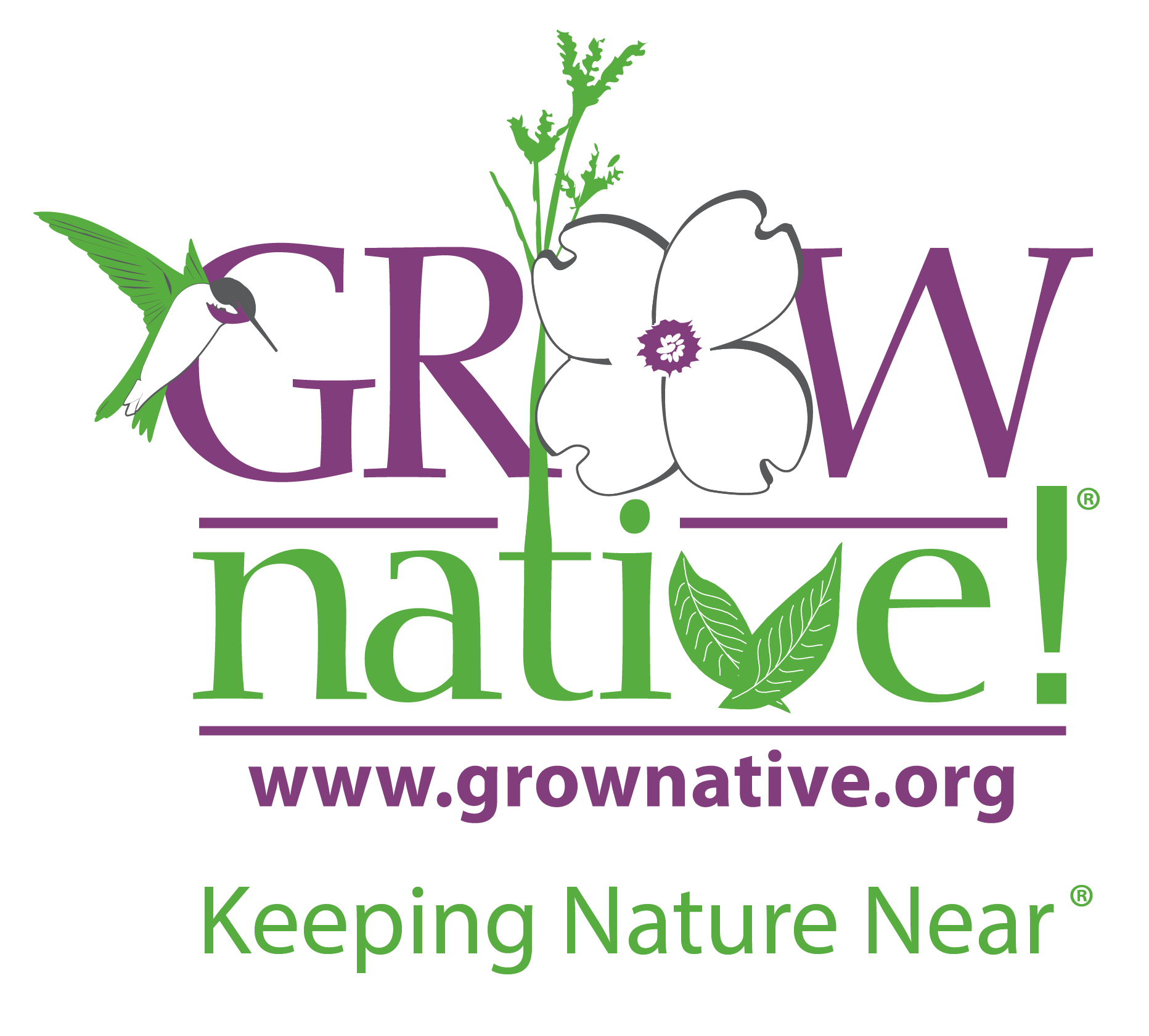 Native Plant Species for Stormwater Management Workshop 