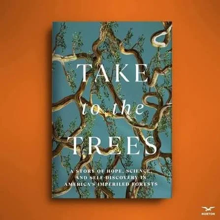 November Programming - Take to the Trees