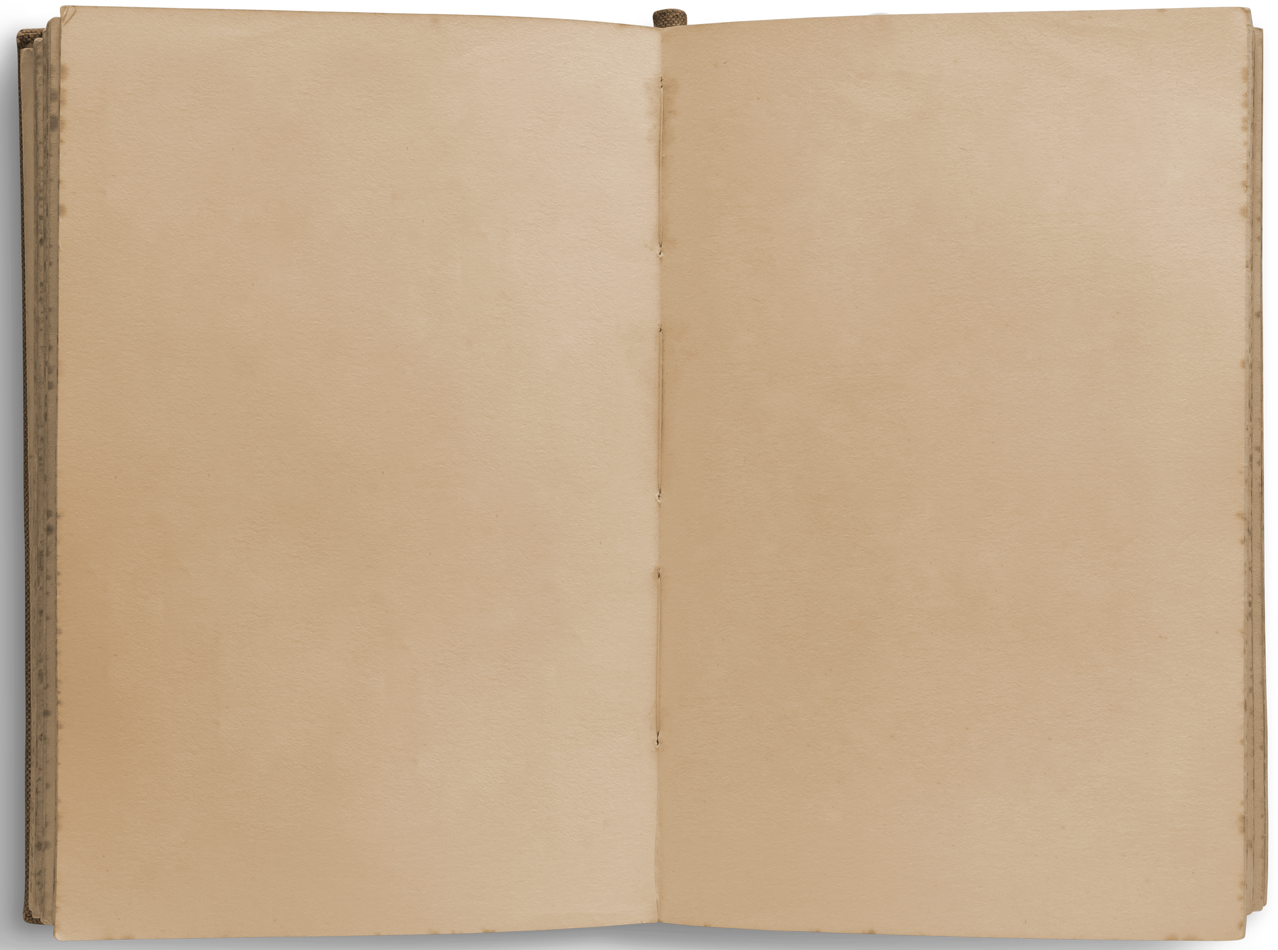 Reflections on Writing - Write