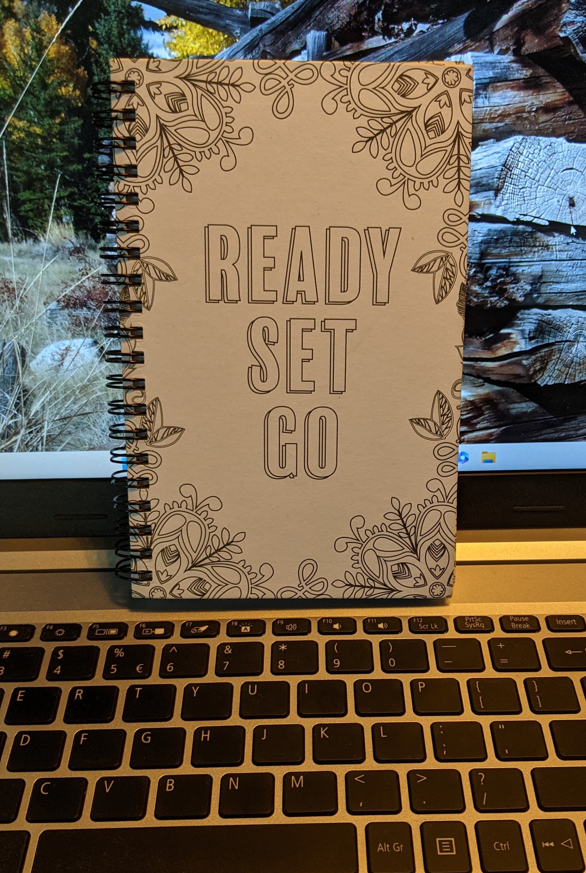 Future Story Ideas