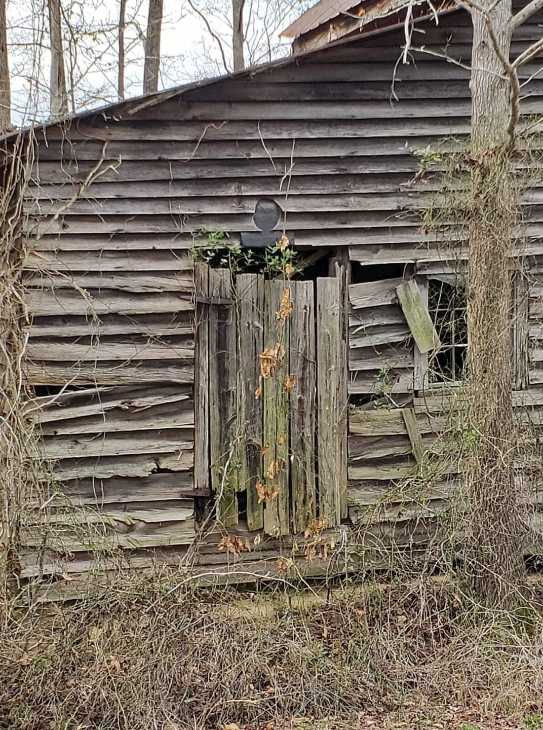 If this old barn could speak…
