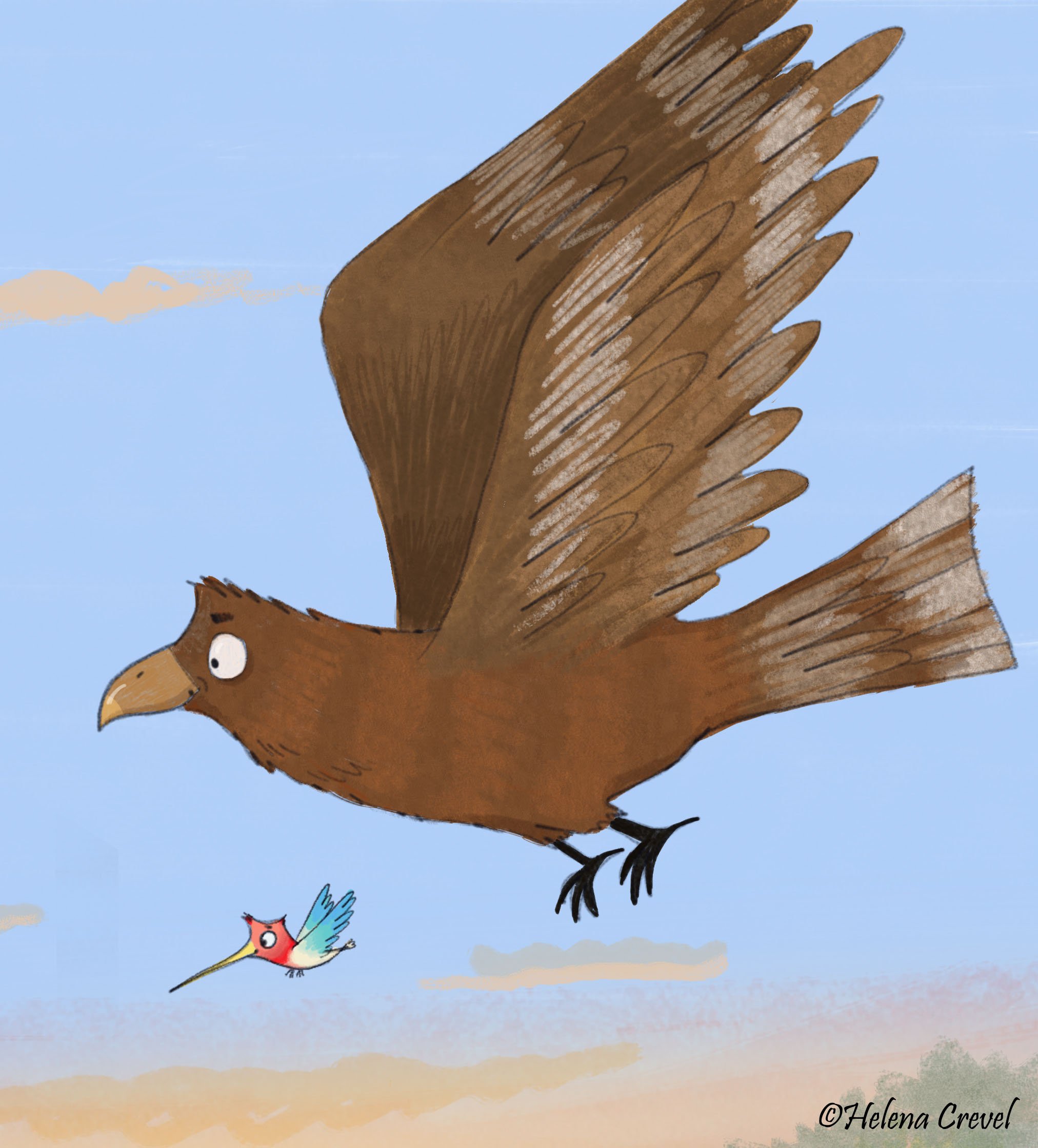 Why are Hawks and Hummingbirds best friends?