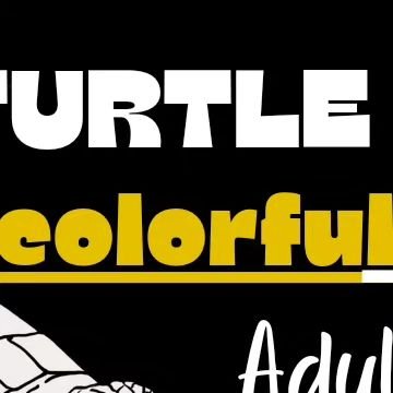 It's been 6 months of Hard work that went into 42 images that are included in this book.  This is my most recent project, and to say that I am proud of it is an under statement! It's 40 Images of seaturtles in different environments, as a bonus, I ad