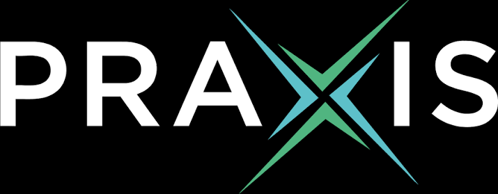 Remagine Labs and Praxis Precision Medicines Announce Strategic Collaboration