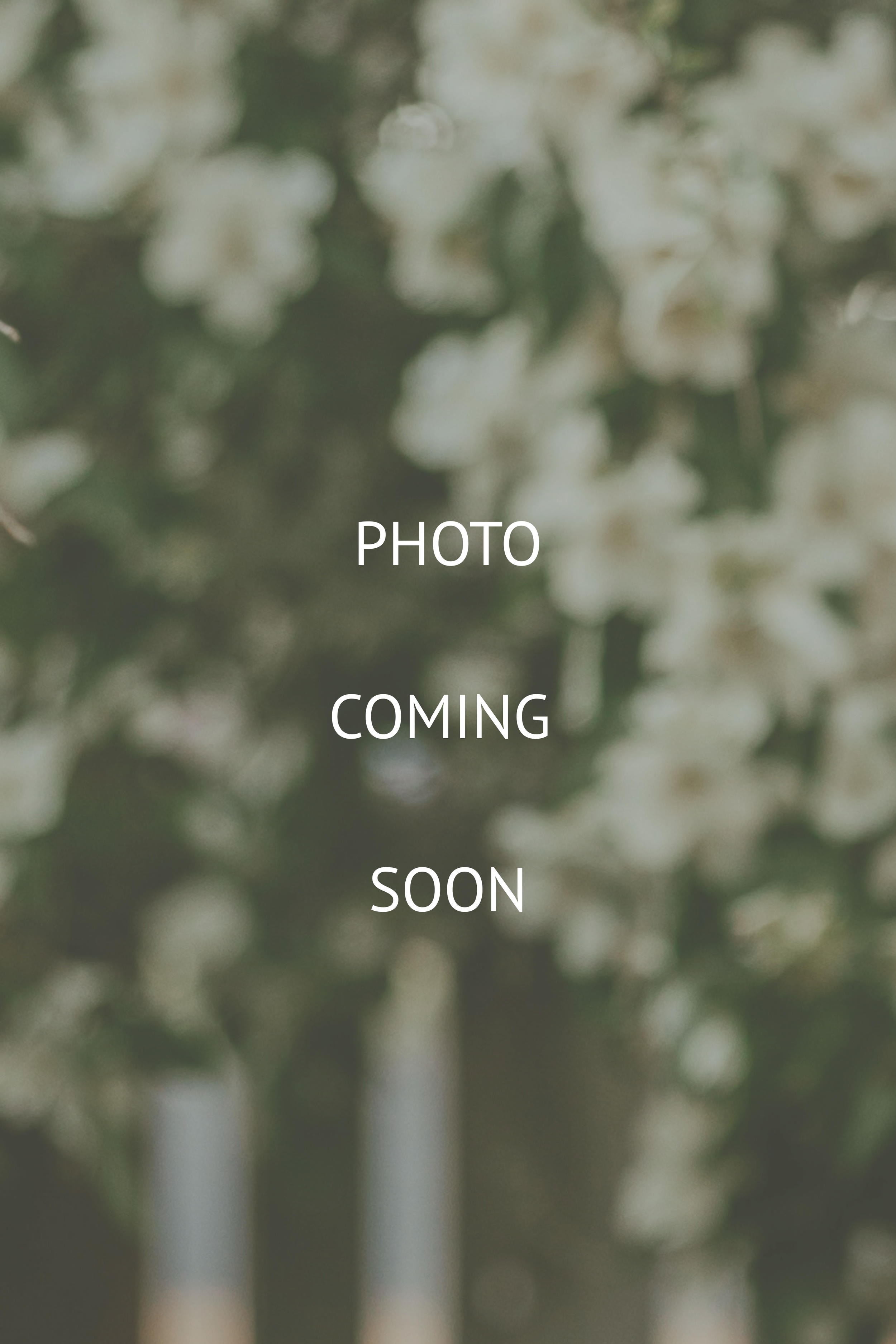 Photo coming soon